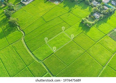 Gomti Greens