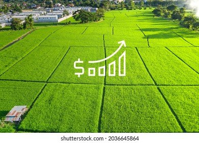 Gomti Greens